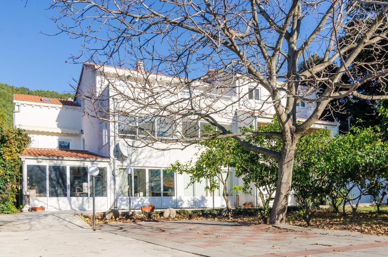 Apartments With A Parking Space Zuljana, Peljesac - 4574 Bagian luar foto