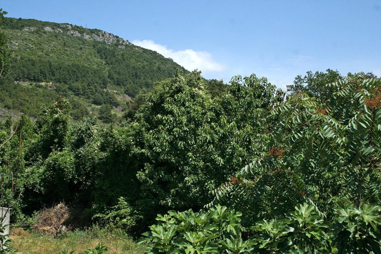 Apartments With A Parking Space Zuljana, Peljesac - 4574 Bagian luar foto